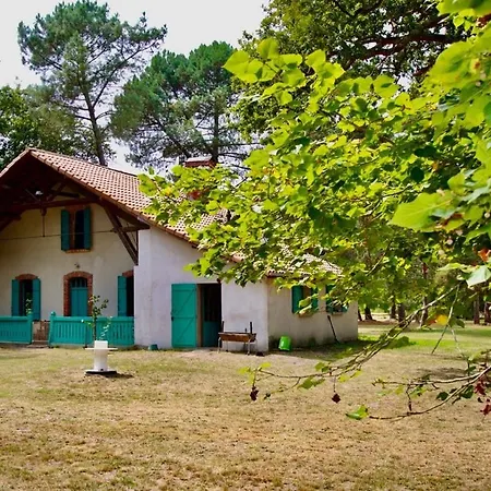 Holiday home Domaine De La Tapie